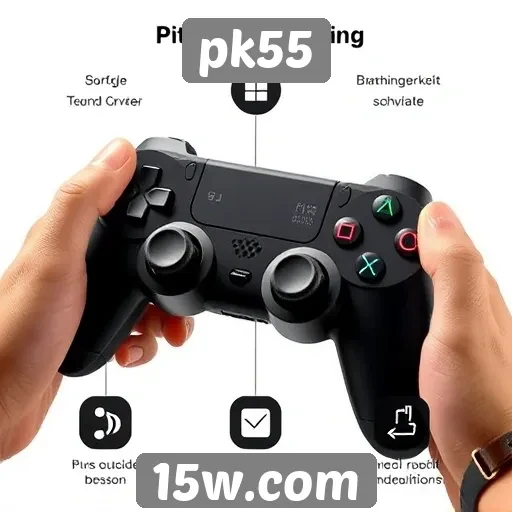 Análise das principais características do pk55
